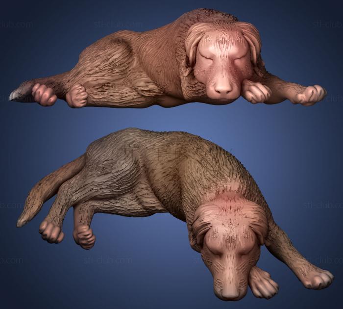 3D model dogs lies sits (STL)